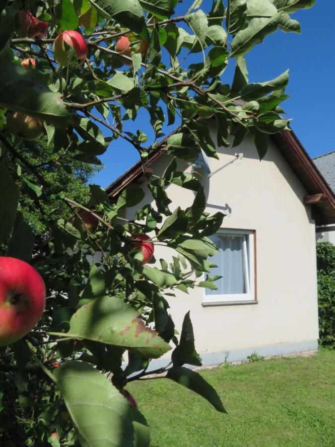 Bed and Breakfast Haus Irmi Knittelfeld Exteriér fotografie